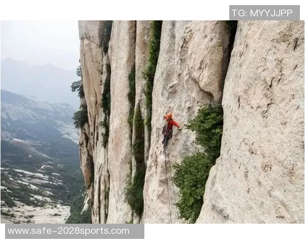 大篮球明星的传奇人生与职业生涯背后的不为人知的故事与奋斗历程